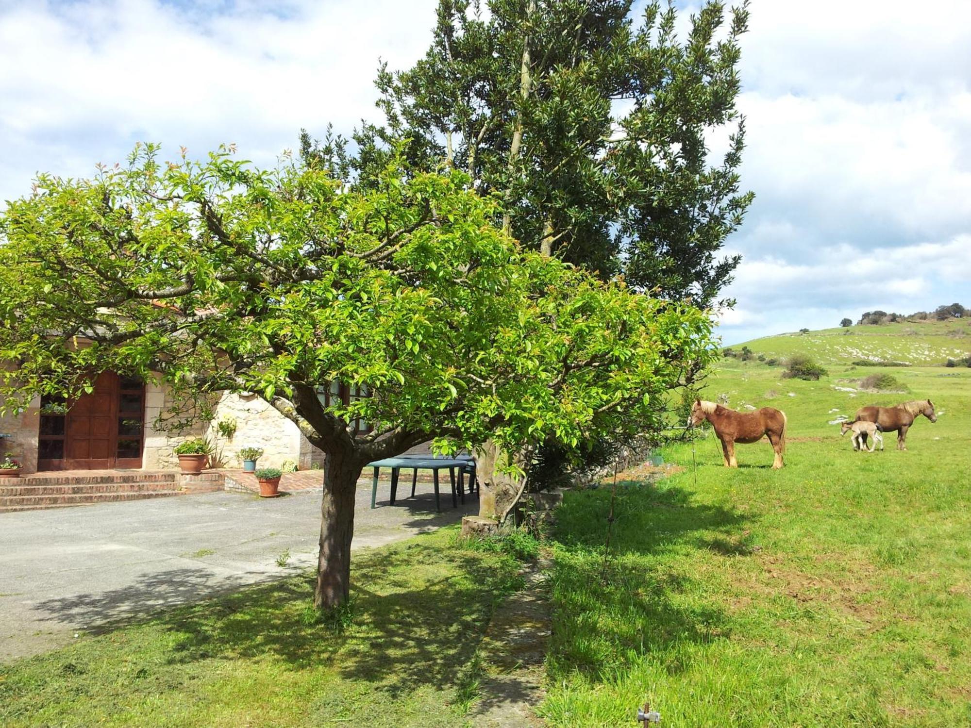 Posada La Roblera Pension Orena Buitenkant foto