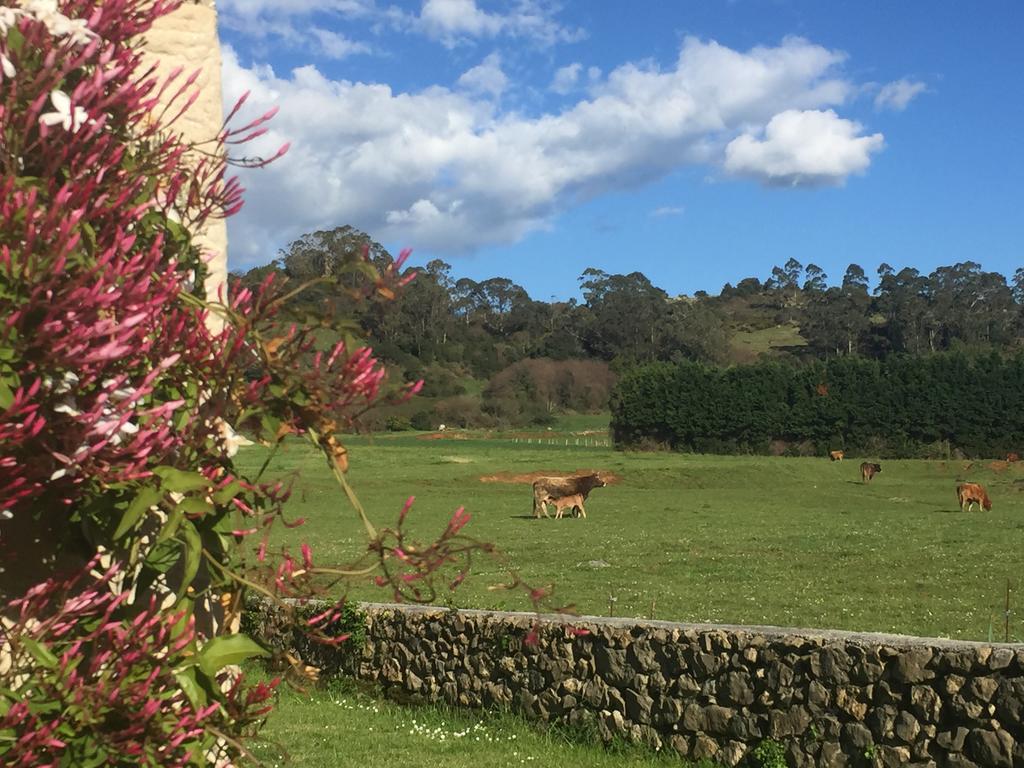 Posada La Roblera Pension Orena Buitenkant foto